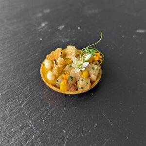 Pumpkin, Hokkaido Scallop XO sauce