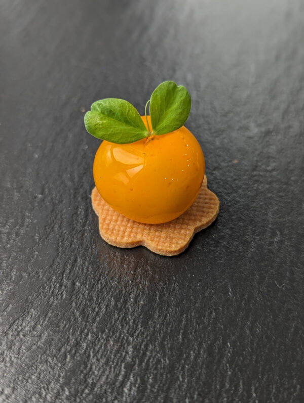 Citrus Cream Cheese Kumquat