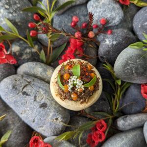 Pulled Beef and Shiitake Pau