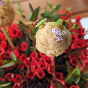 Wuu Kok Popsicle flower